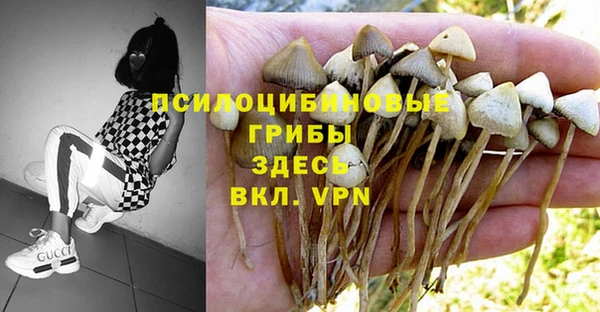 apvp Абинск