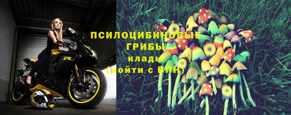 твердый Осташков